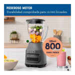 Oster BLSTPEG-GPB 800W 6 Velocidades Pulso Acople Metálico Gris